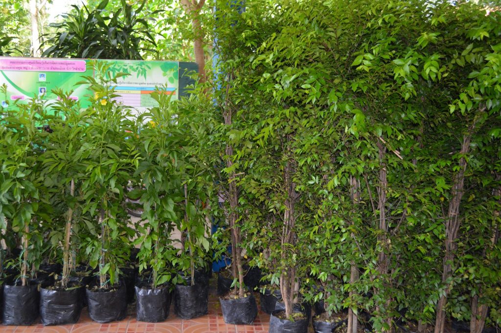 18192544_1305825002858390_1656671305742581732_o