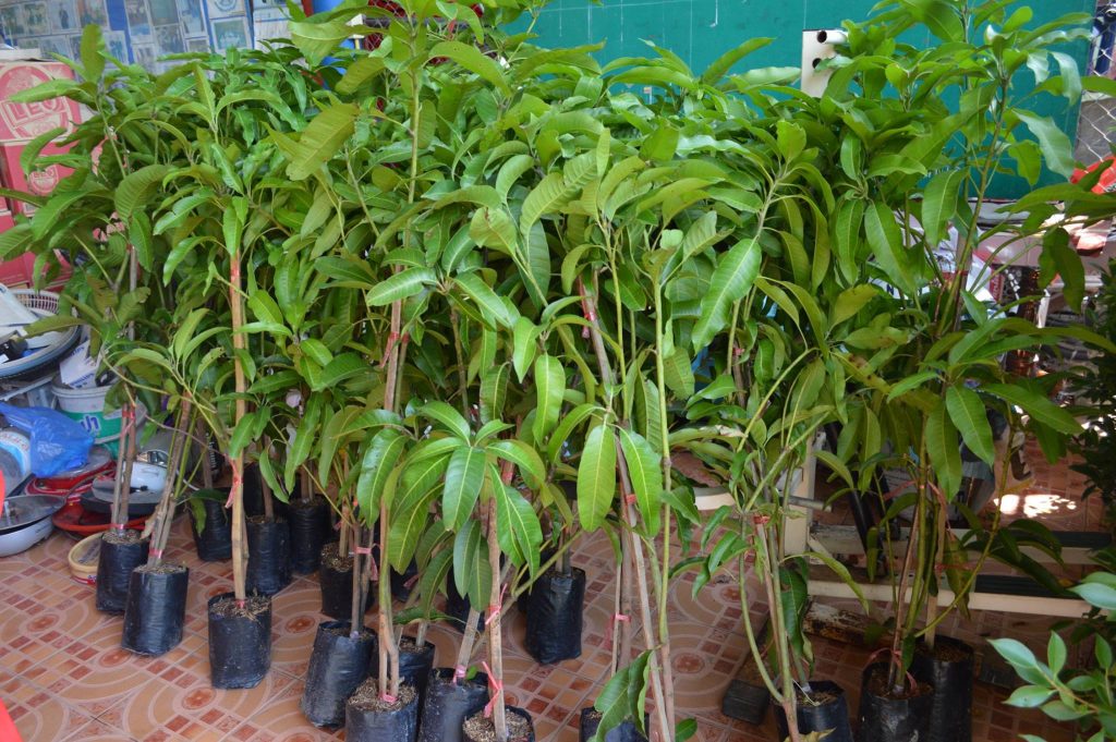 18193165_1305824766191747_7429800508964971772_o