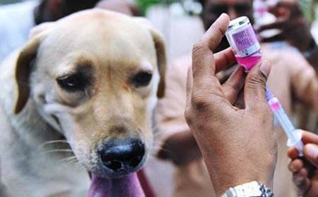 18519947_1318907544883469_5522247654066586906_n