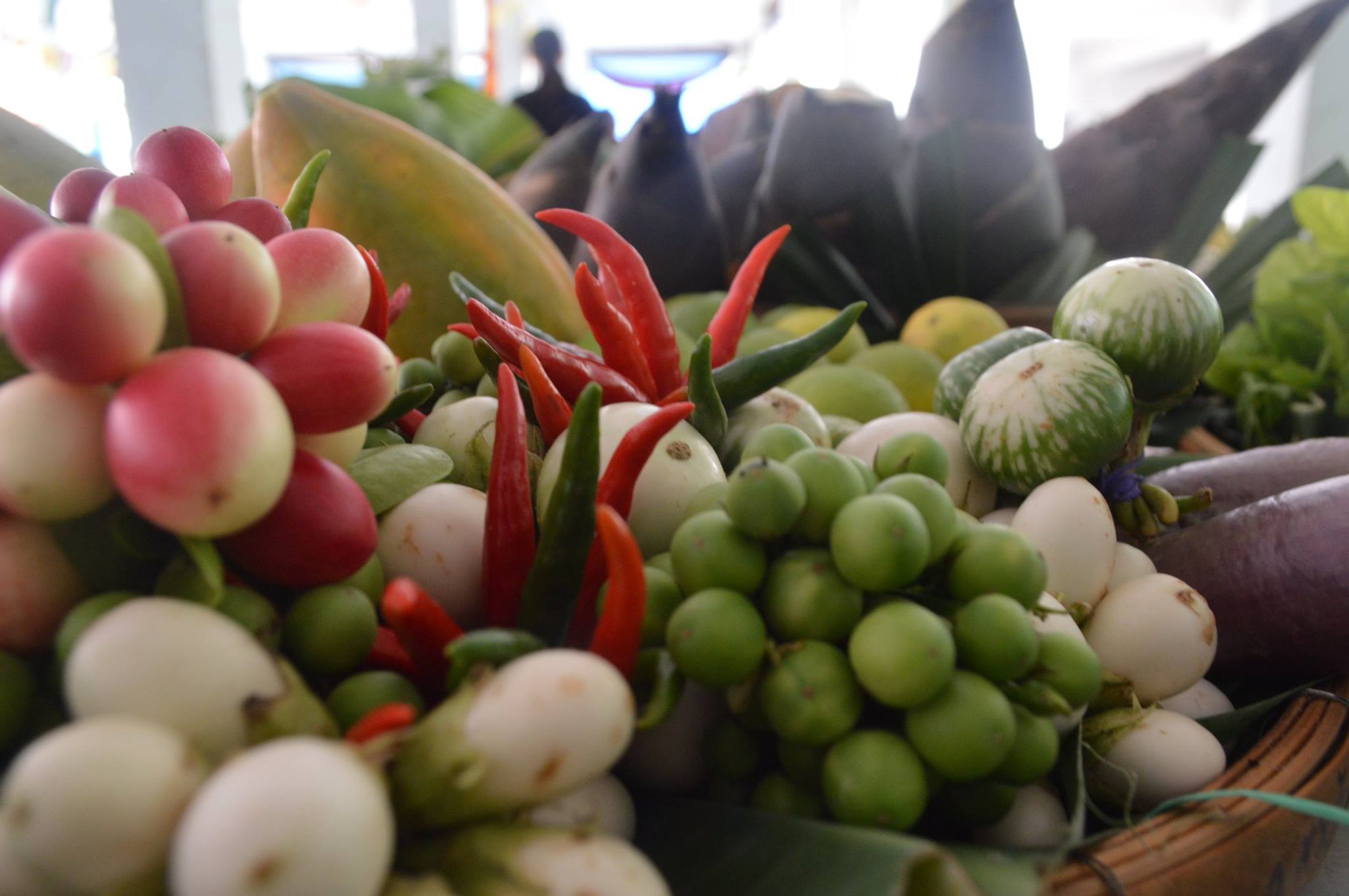 19250846_1352611361513087_2174682997299510064_o