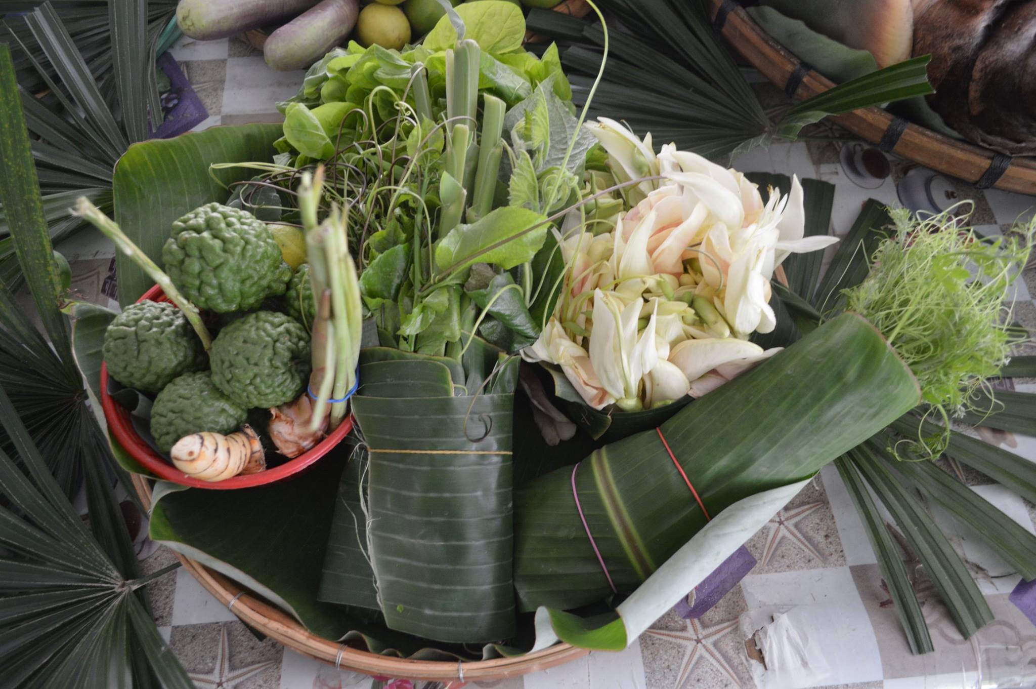 19390532_1352611358179754_6530368760590897724_o