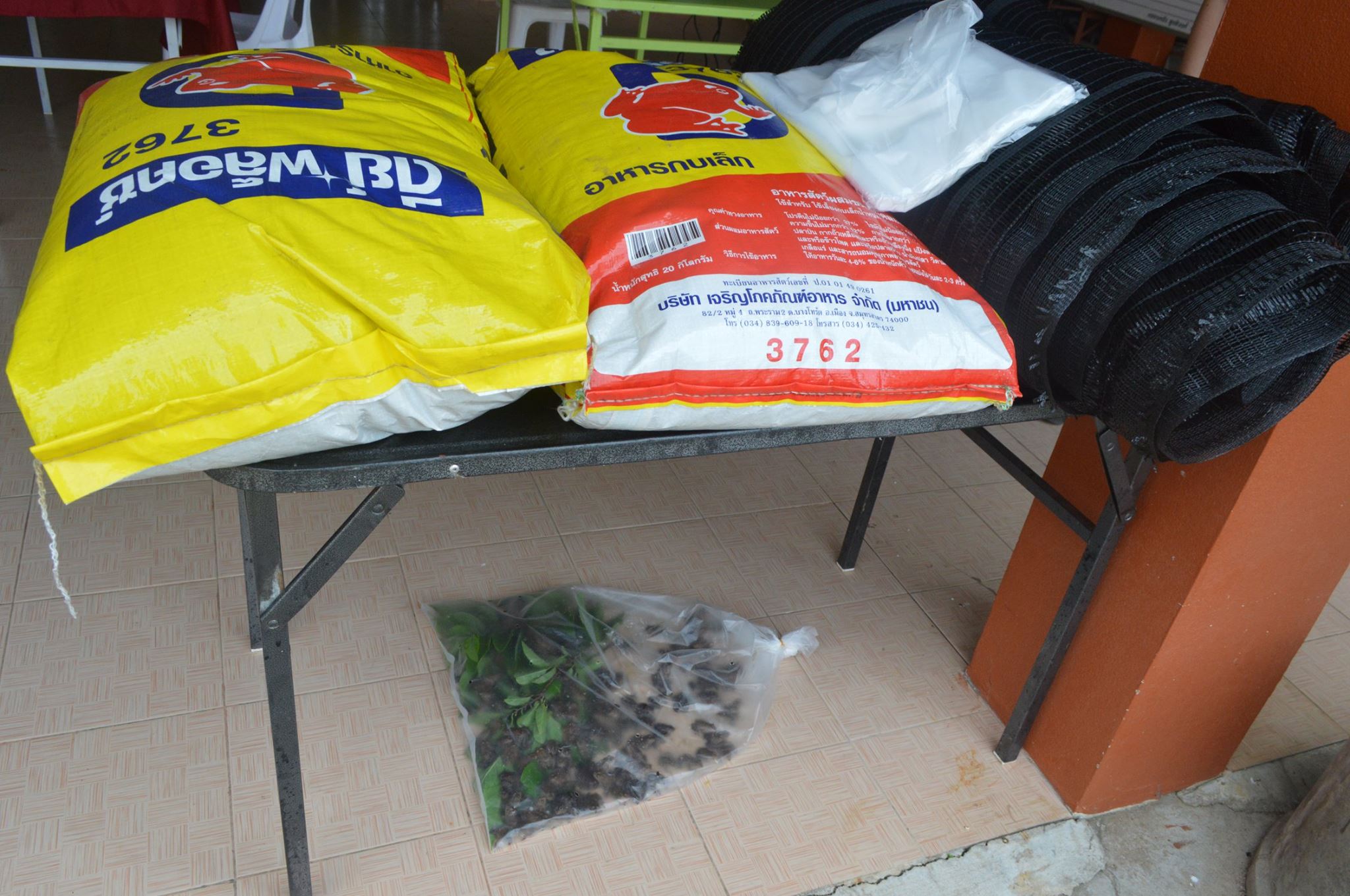 19390675_1352436604863896_6896276604797939679_o