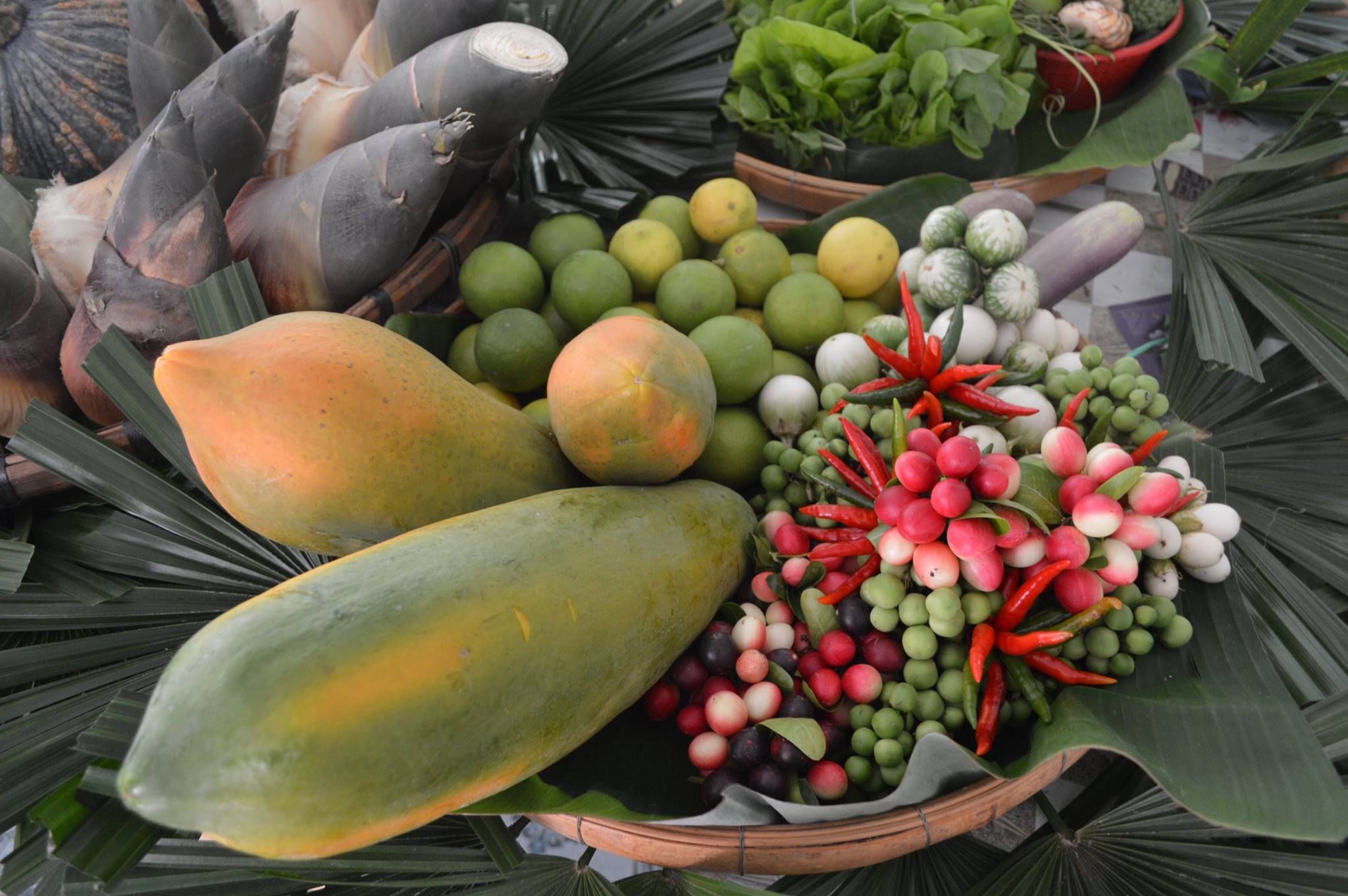 19390777_1352611251513098_6245097556684660373_o