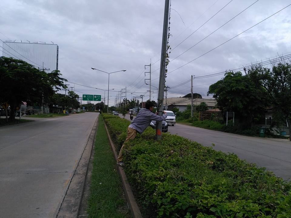 20106474_473390572994944_5736806814835099611_n