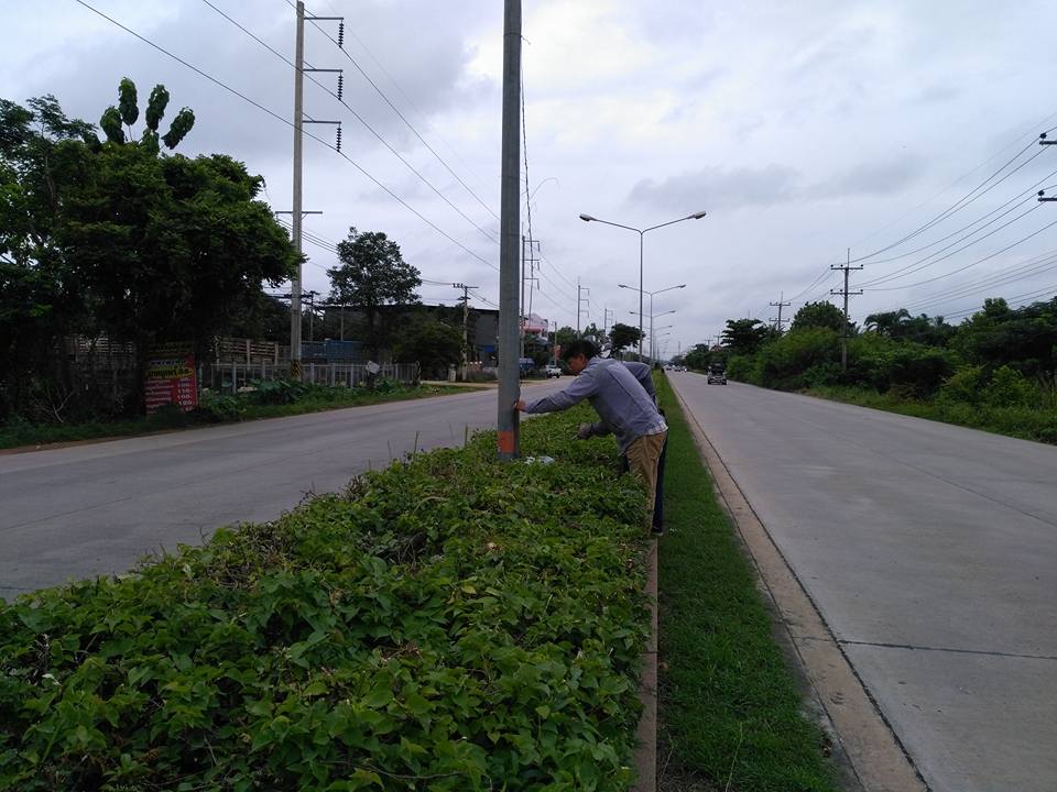 20106582_473390552994946_2546910444941848183_n