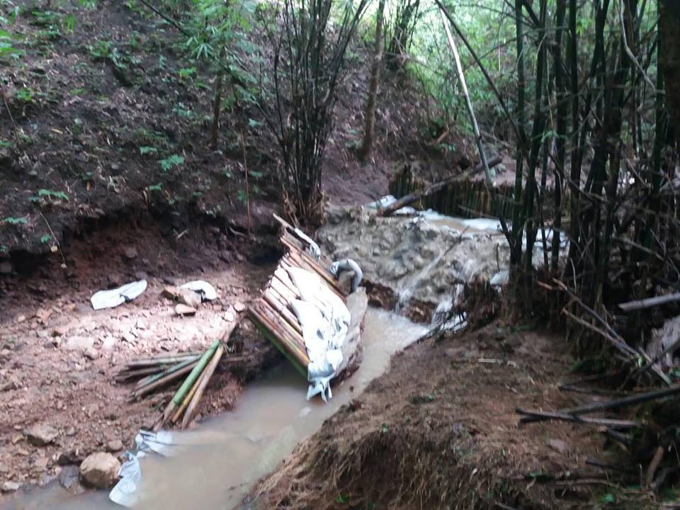 20429898_1393065234134366_8343312123983571879_n