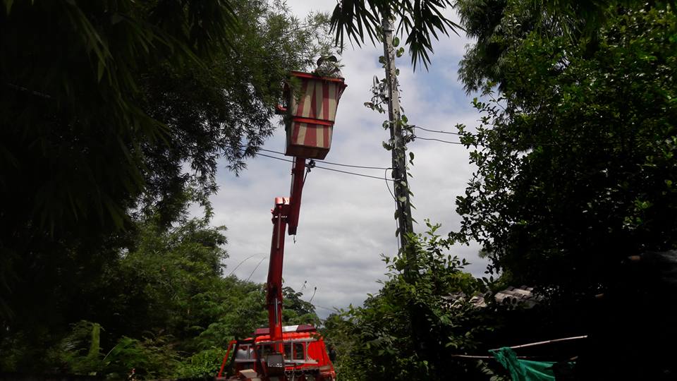 20431256_1936345503311387_2445328440373194203_n