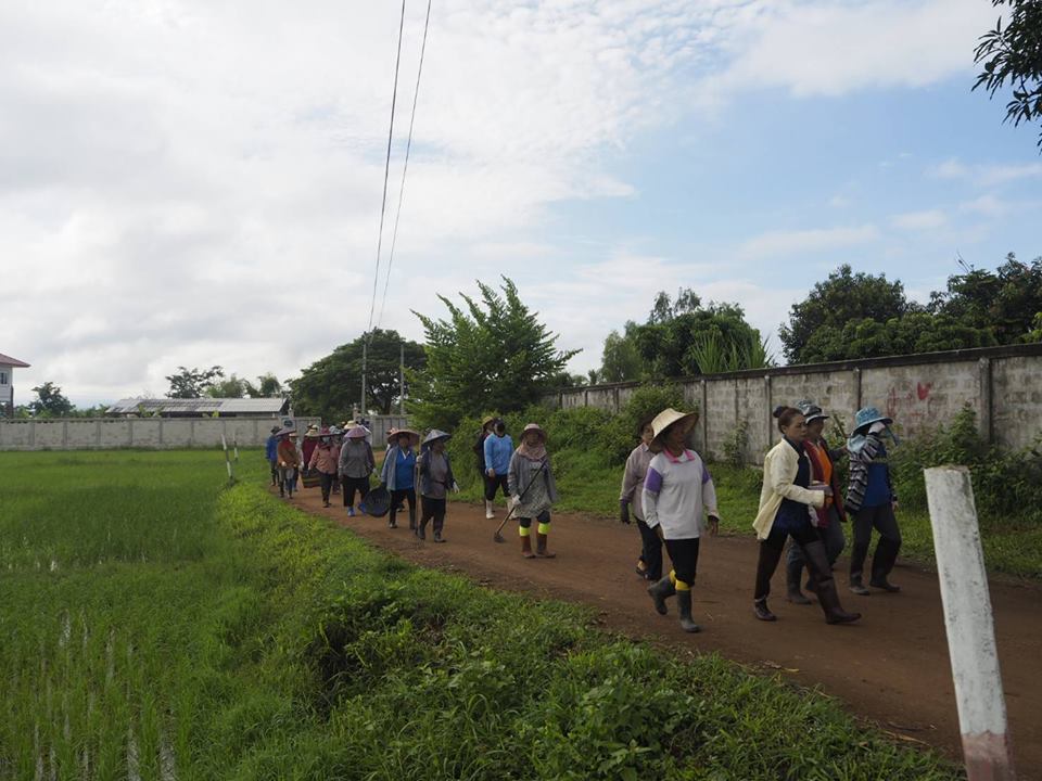 20431294_1392905067483716_3581094189938741958_n