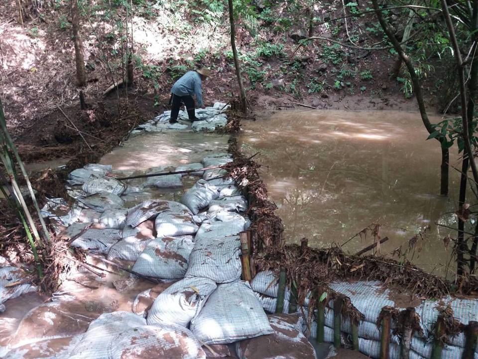 20431471_1393065214134368_1734879118713668799_n