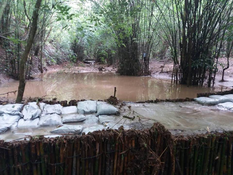 20476130_1393065140801042_1269752087492000776_n