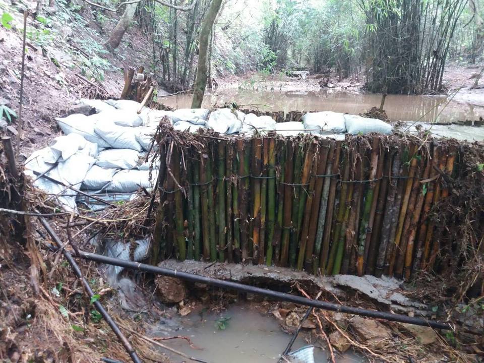 20479656_1393065207467702_3611684409325160047_n