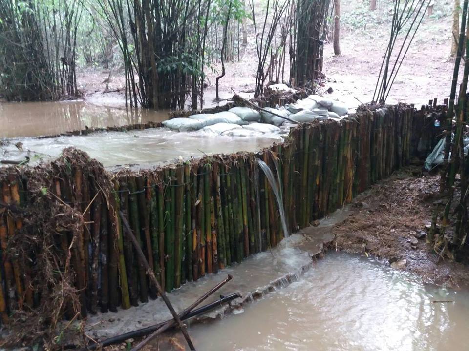 20479764_1393065250801031_8385669623852407489_n