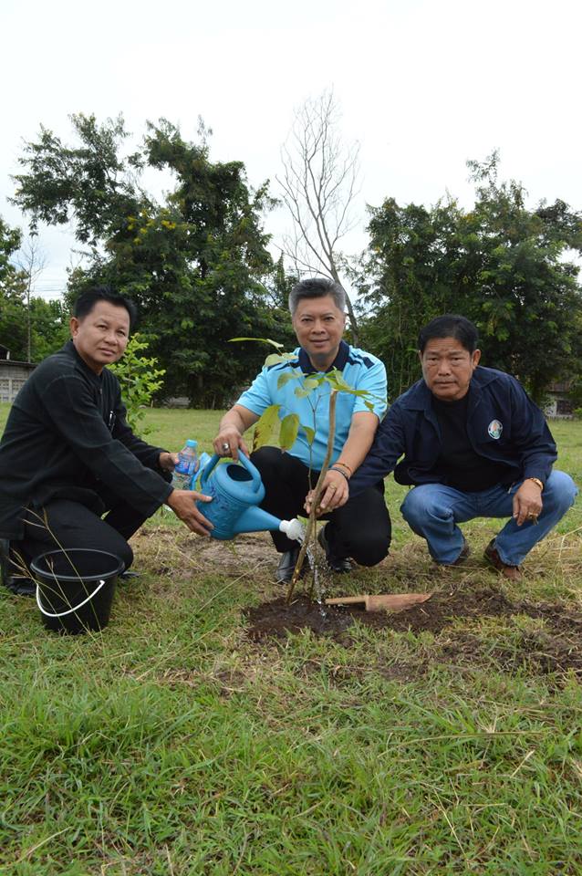 20663876_1402651643175725_3096465536397340240_n