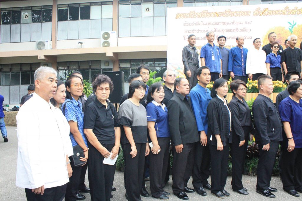 20746227_1403573953083494_3391846569921154621_o