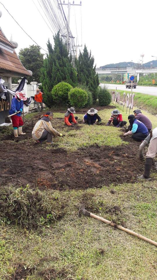 21106743_1423847874389435_7111081381823994703_n