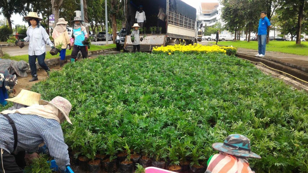 21125771_1423847877722768_8549415876401632222_o