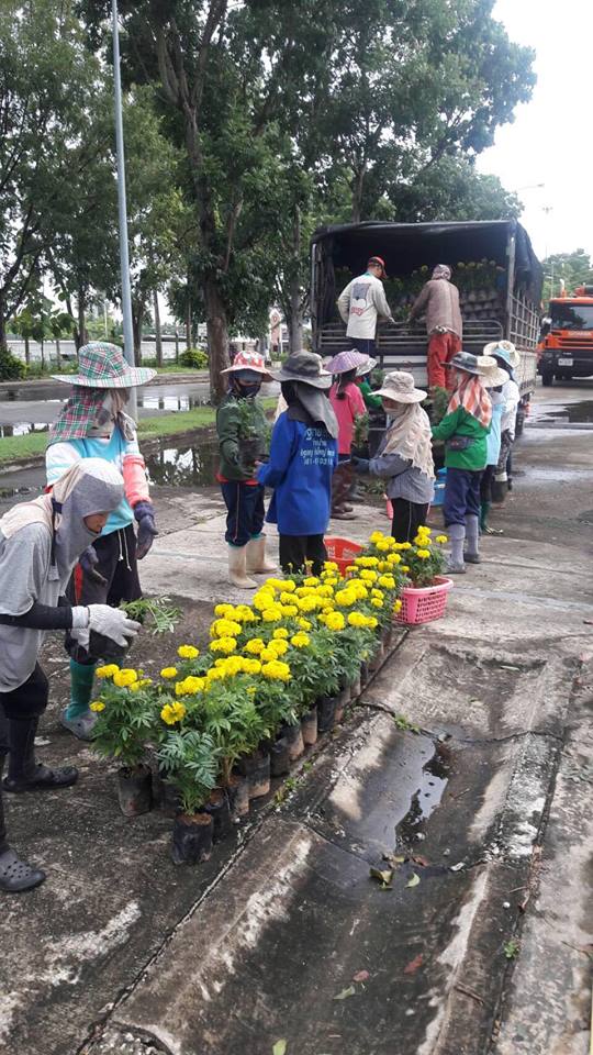 21151294_1423847921056097_7814675388337777861_n