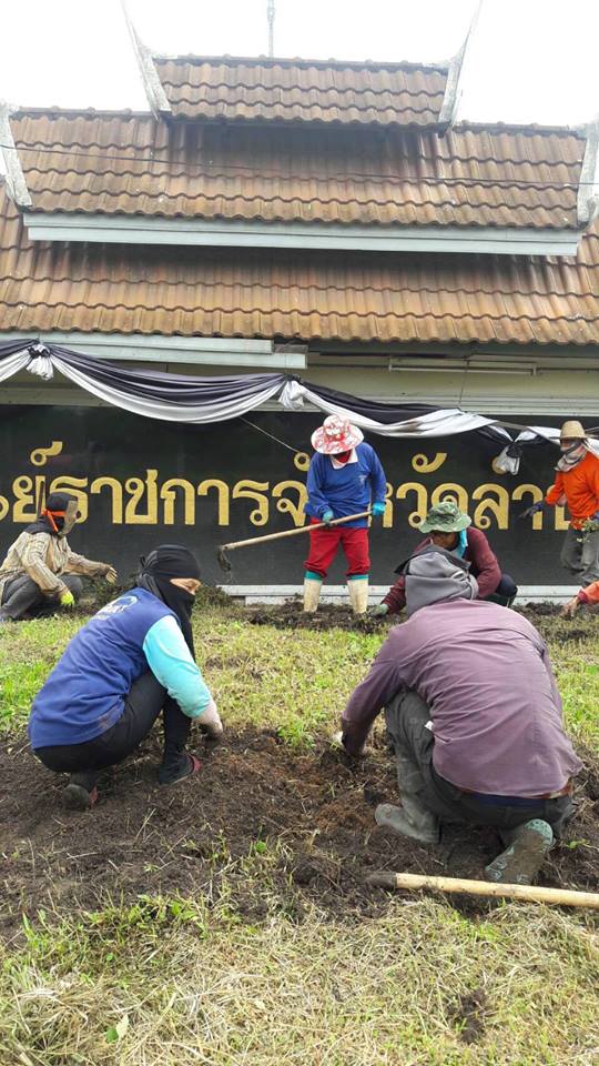 21192479_1423847917722764_8334939688432722770_n