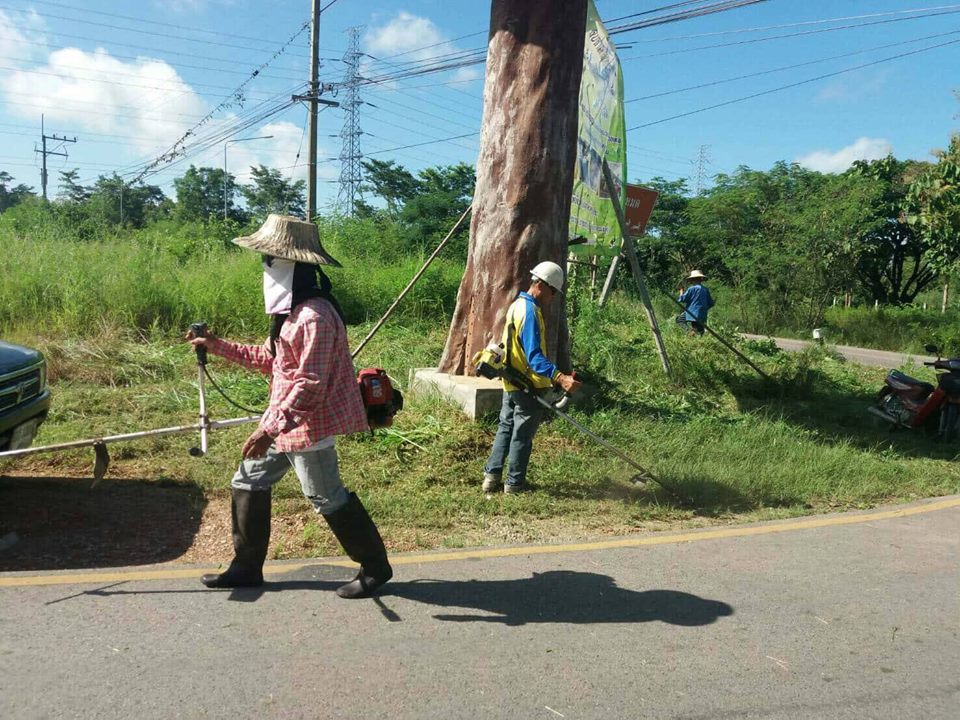 22552878_1473628812744674_6367230683109565360_n