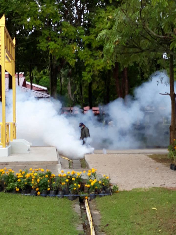 22554814_1473622836078605_3745770633998542292_n