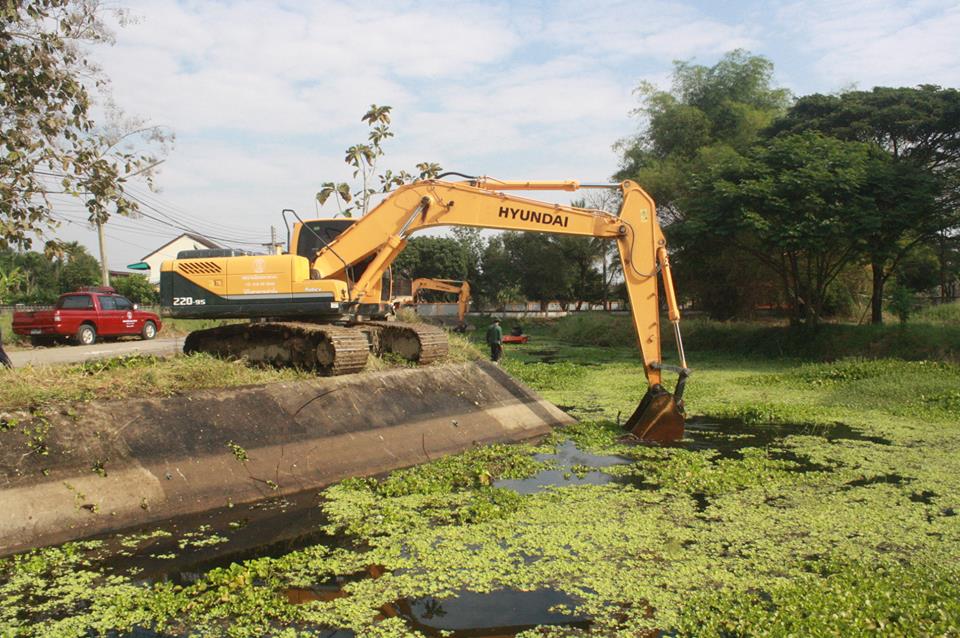 26239872_1558652987575589_1265639398366111030_n